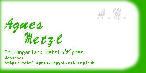 agnes metzl business card